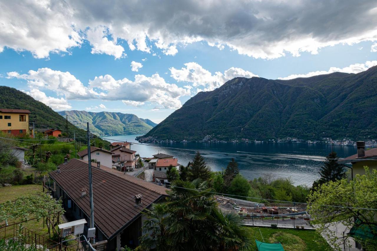 Dany Con Vista By Solutions Nesso